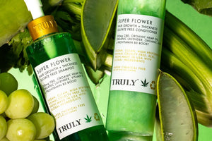 The Amazing Benefits of Aloe Vera for Your Hair and Skin